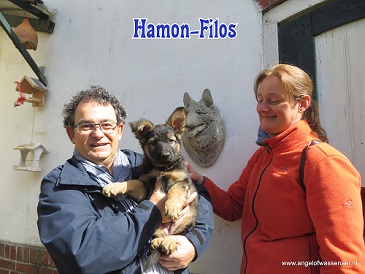 Hamon-Filos vertrekt met Roelof en Noël naar Culemborg